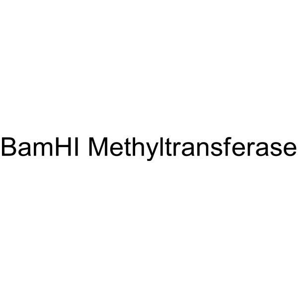 BamHI Methyltransferase (BamHI Methyltransferase) 92228-39-2